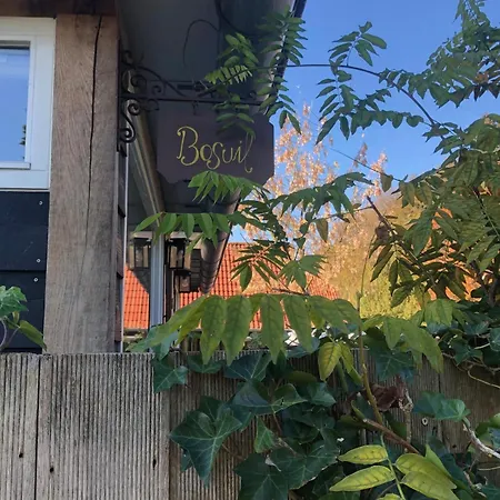 Holiday home Bosuil, With Sauna Voorthuizen